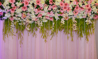 AG Decoration, Mysore